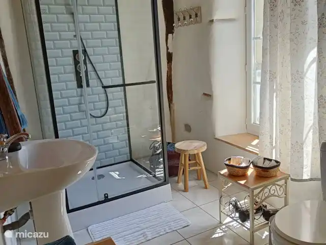 Les lits de Montbel en Francia, Aude, Sonnac-sur-l'Hers - vivienda urbana El baño con inodoro, lavabo y cómoda ducha.