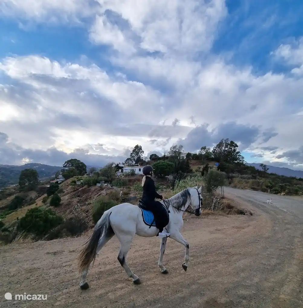 Horseback Equestrian Center