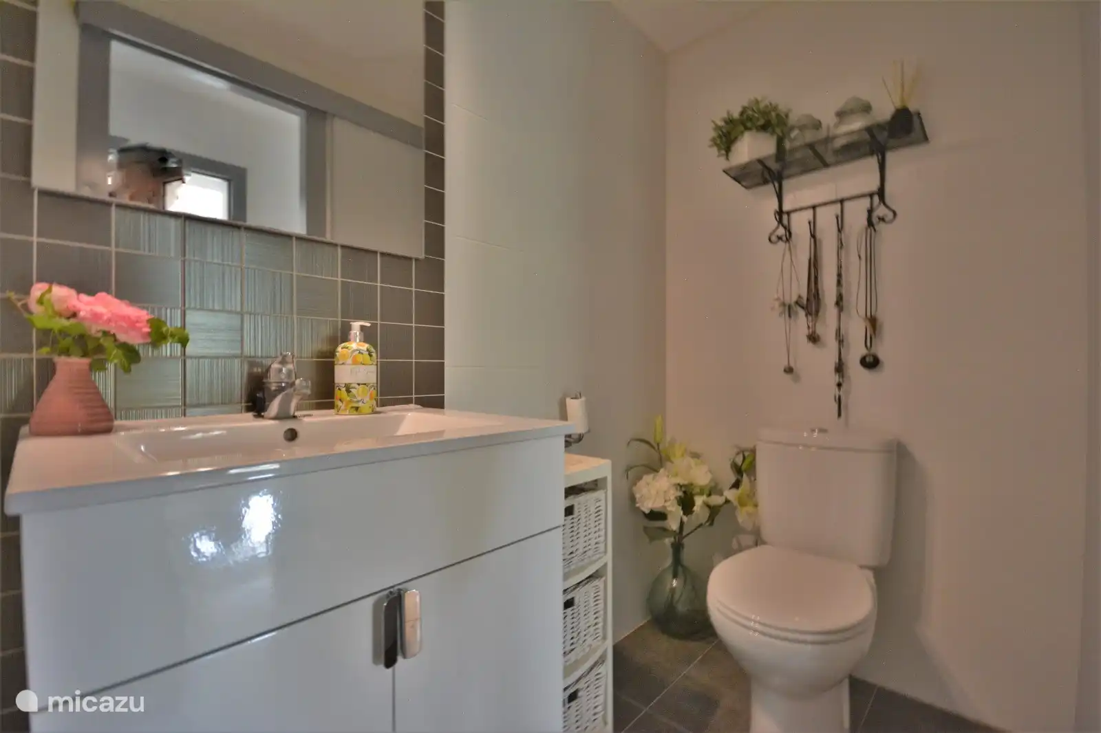 Salle de bain avec WC et lavabo