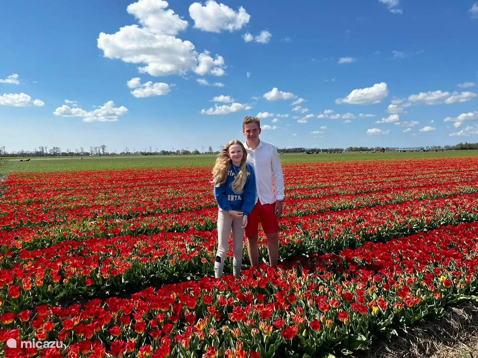 Tulpenfest im Mai