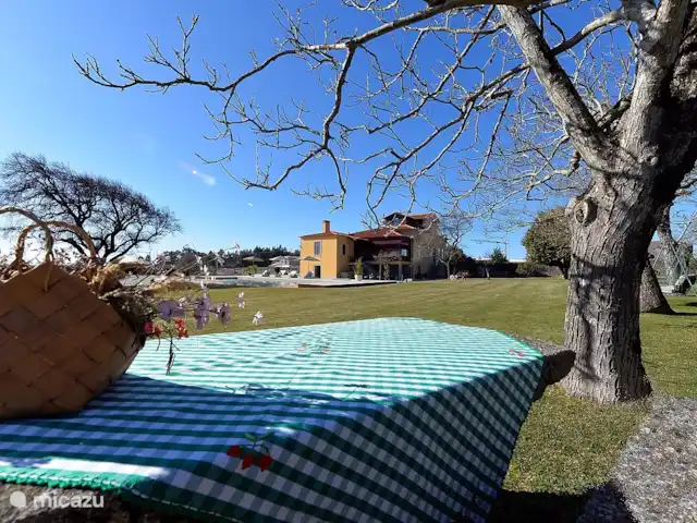Villa Flamengo huren in Portugal, Costa Verde, Esposende - villa Villa Flamengo