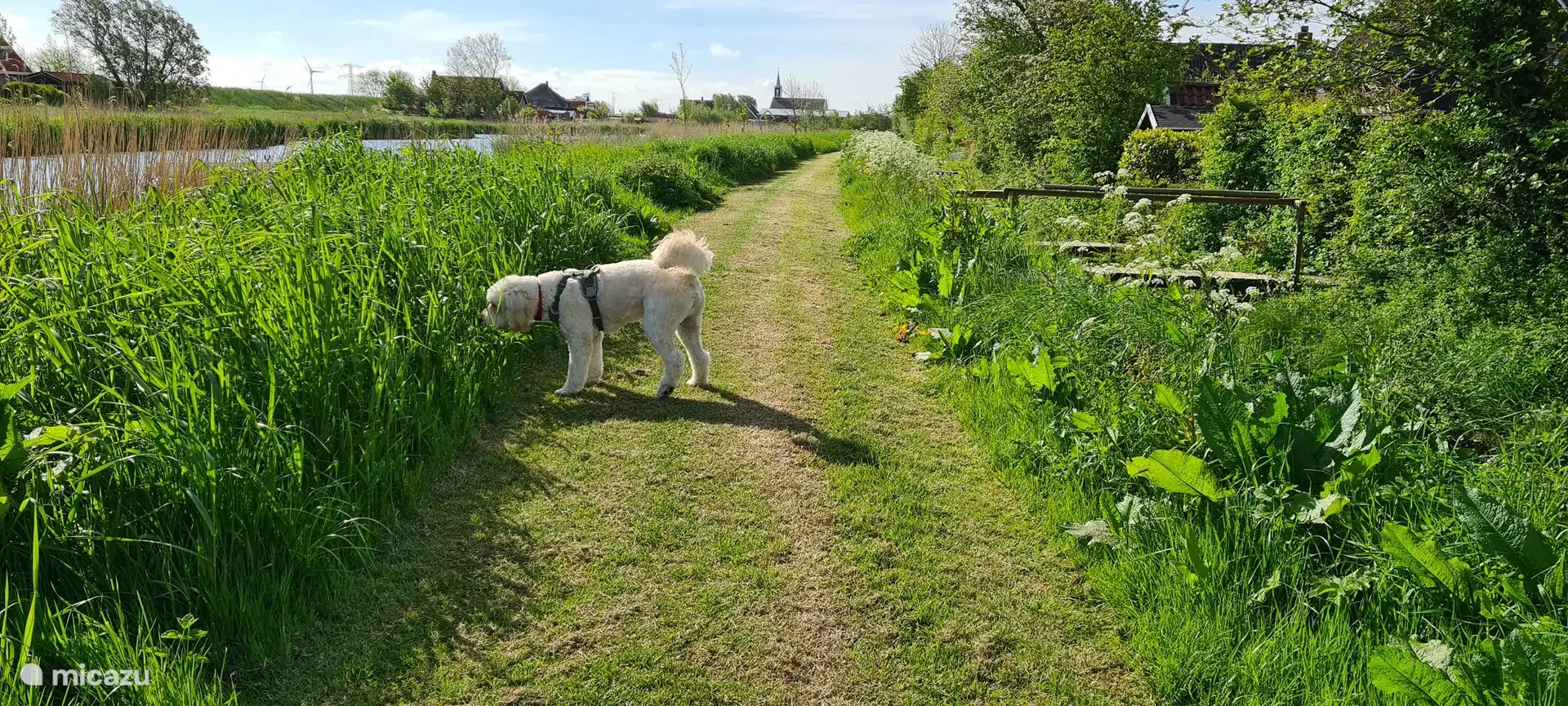 Das Haus liegt an einem Spazierdeich rund um den Ferienpark. Ein Spaziergang von etwa 25 Minuten
