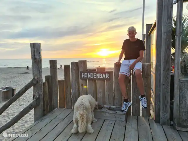 `t Bullekroffie Kakelbont 62 | Pays-Bas, Hollande du Nord, Oudesluis - maison de vacances En dehors de la haute saison, les chiens sont autorisés à se promener librement sur la plage et sont toujours les bienvenus dans les bars de plage.