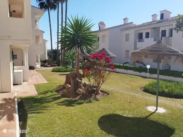 Location de Vacances Espagne, Andalousie, El Faro, appartement - Las Farolas, Soleil et Mer jardin