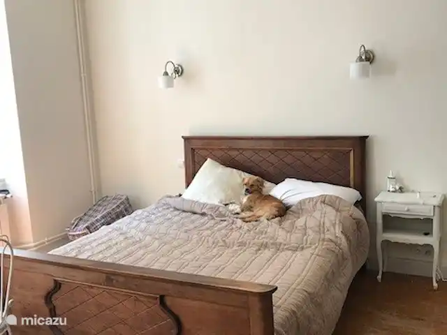 Location de Vacances France, Tarn, Blan, maison de vacances - Le Paradis de la chouette chambre 1