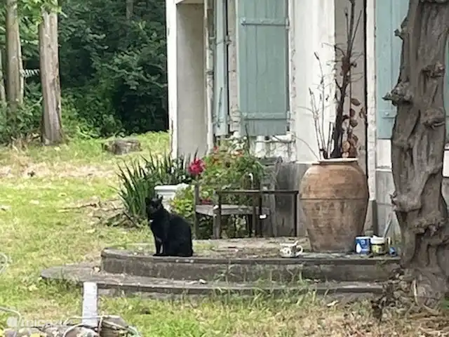 Location de Vacances France, Tarn, Blan, maison de vacances - Le Paradis de la chouette vue du côté de la maison à l'avant