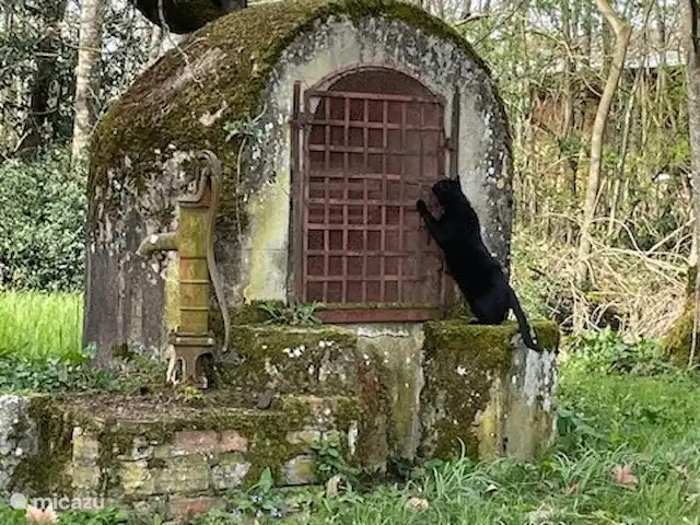 Location de Vacances France, Tarn, Blan, maison de vacances - Le Paradis de la chouette bien dans le jardin
