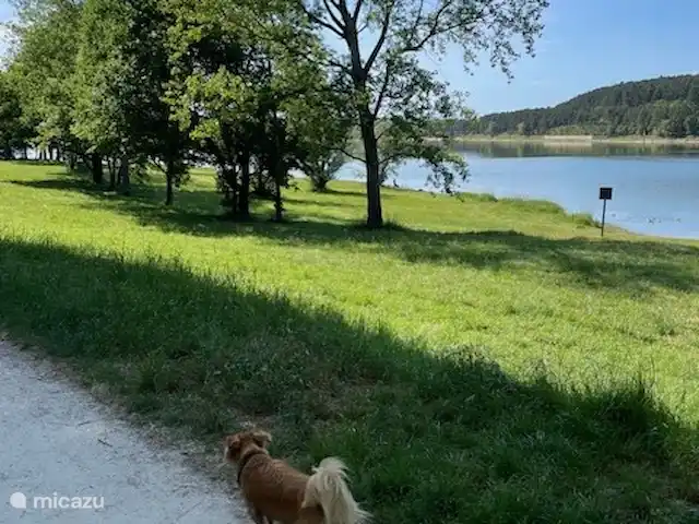 Location de Vacances France, Tarn, Blan, maison de vacances - Le Paradis de la chouette