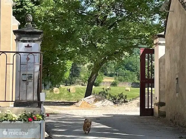 Location de Vacances France, Tarn, Blan, maison de vacances - Le Paradis de la chouette