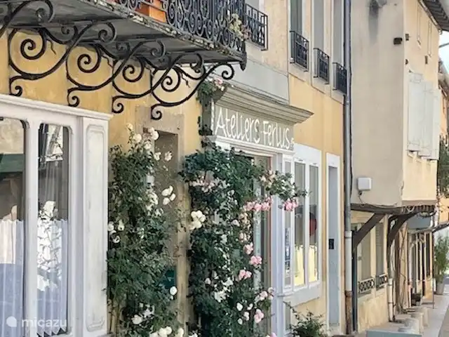 Location de Vacances France, Tarn, Blan, maison de vacances - Le Paradis de la chouette