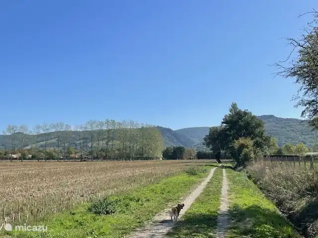 Location de Vacances France, Tarn, Blan, maison de vacances - Le Paradis de la chouette