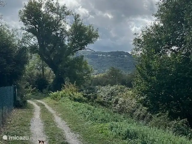 Location de Vacances France, Tarn, Blan, maison de vacances - Le Paradis de la chouette