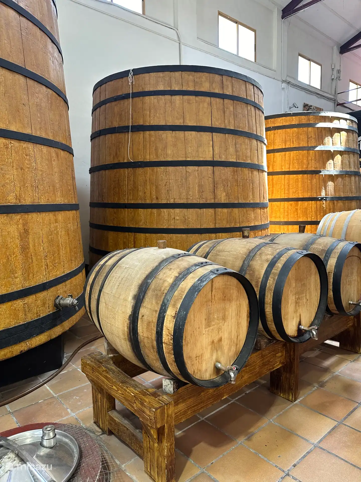 Fine wine tastings at local bodegas