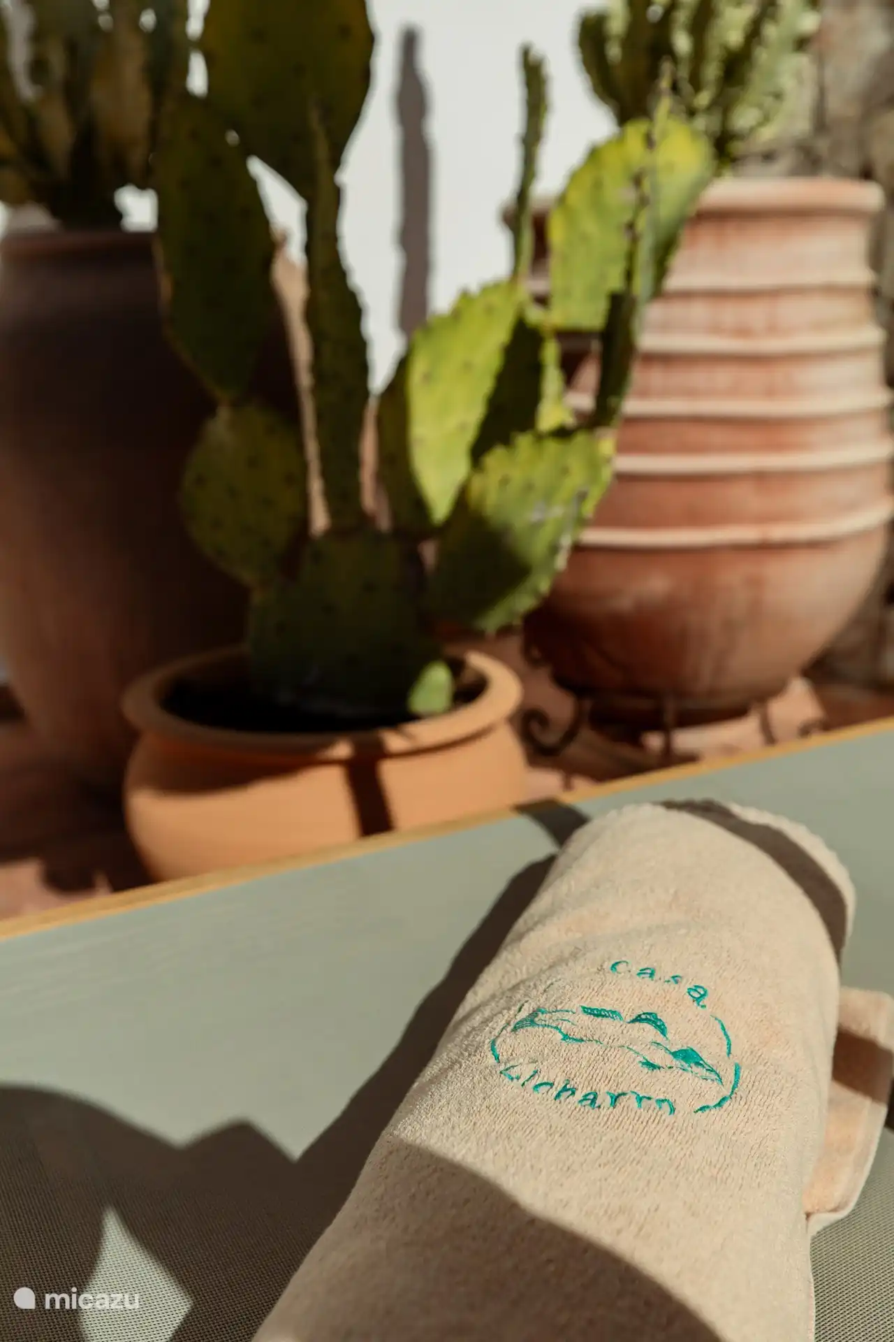 Linge de plage avec logo