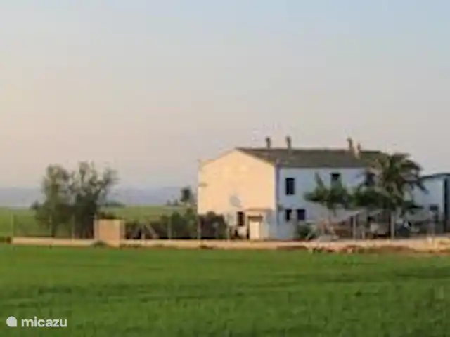 Masia LLambrich | Espagne, Catalogne,  Deltebre - gîte / cottage Masia Llambrich
