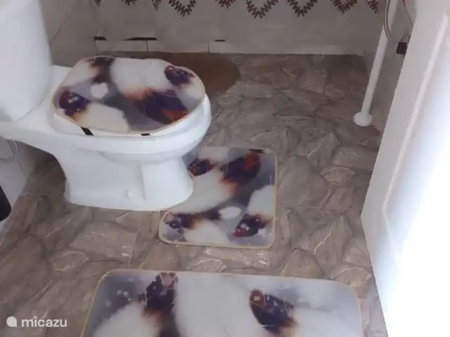 Location de Vacances Curaçao, Curaçao-Centre, Mahuma, appartement - Appartement Romar Un beau WC avec douche et lavabo. Il y a aussi de l'eau chaude pour la douche