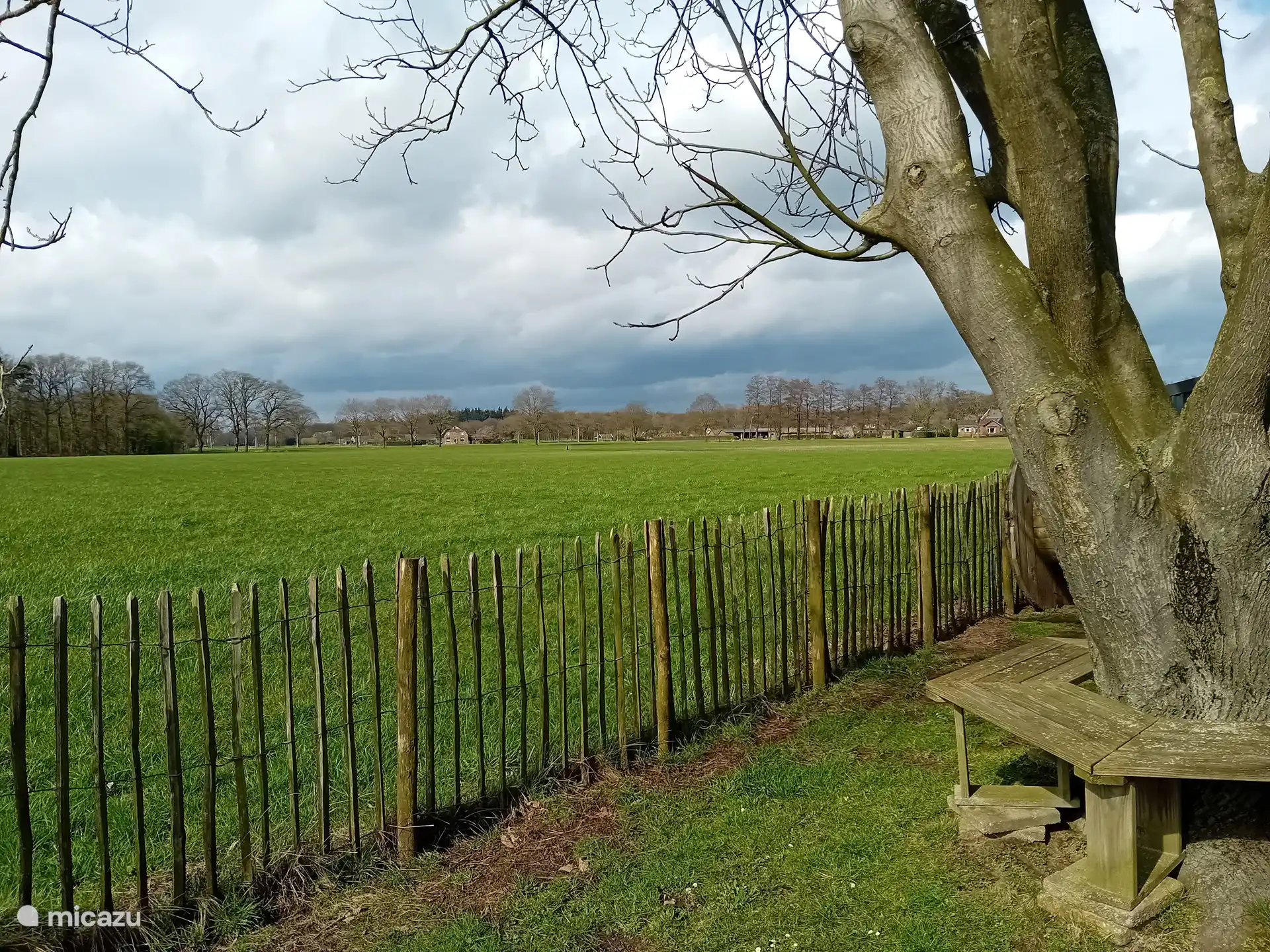 Het uitzicht van uit de slaapkamer in de zomer zie je vaak in de avond de herten lopen