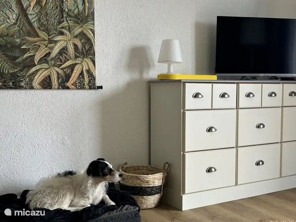 Village le Chat 155 - detail woonkamer.