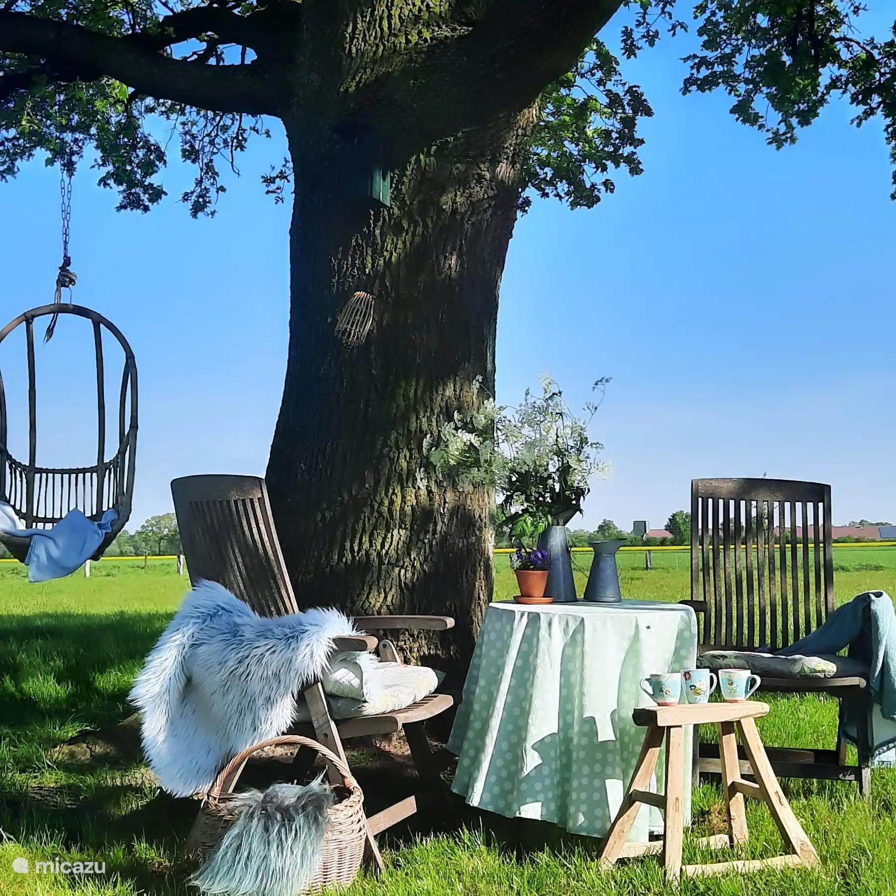 Que déguster dans la chaise hamac