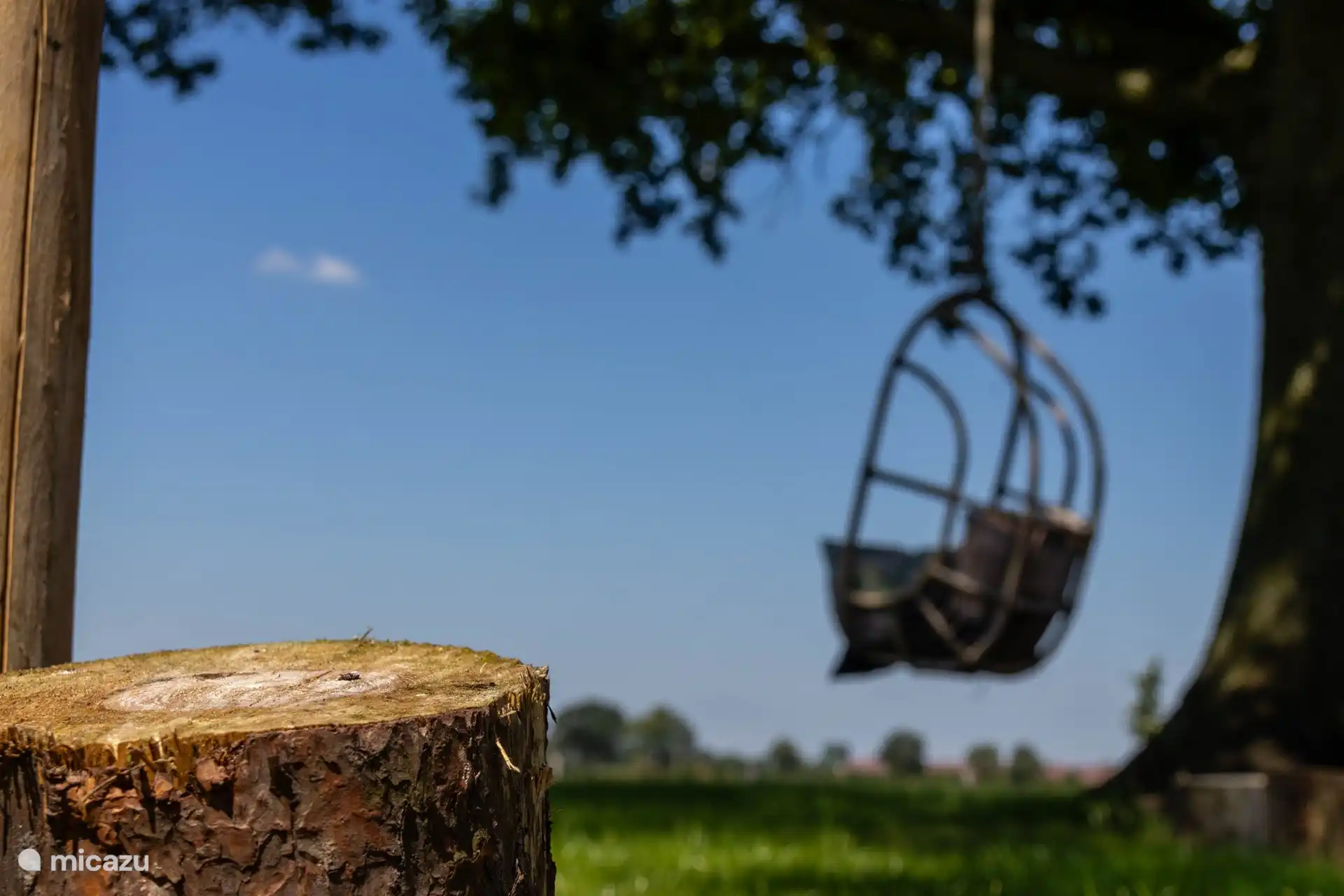 Pouvez-vous déjà voir se détendre ici dans les dernières heures d’une chaude soirée d’été...