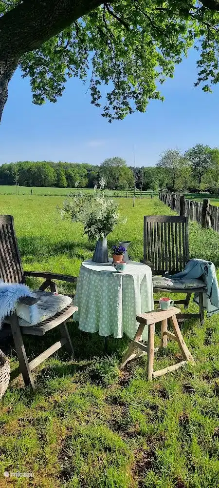 Il fait beau et frais sous le sapin !