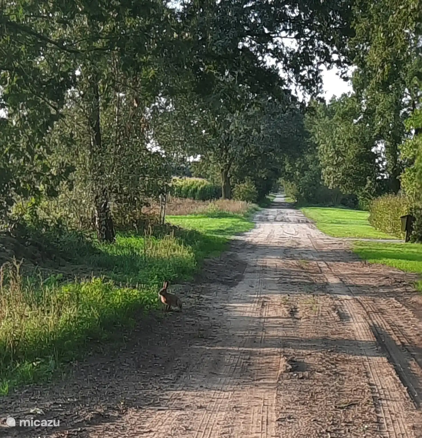 La maison de vacances Erve Schoppert est située sur un chemin de terre, 