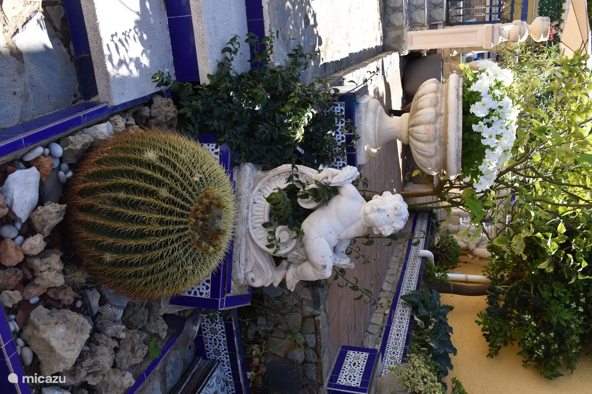 Garten, in dem Sie den ganzen Tag die Sonne genießen können.