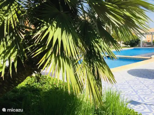 CasasQuesada en España, Costa Blanca, Ciudad Quesada - casa vacacional piscina comunitaria