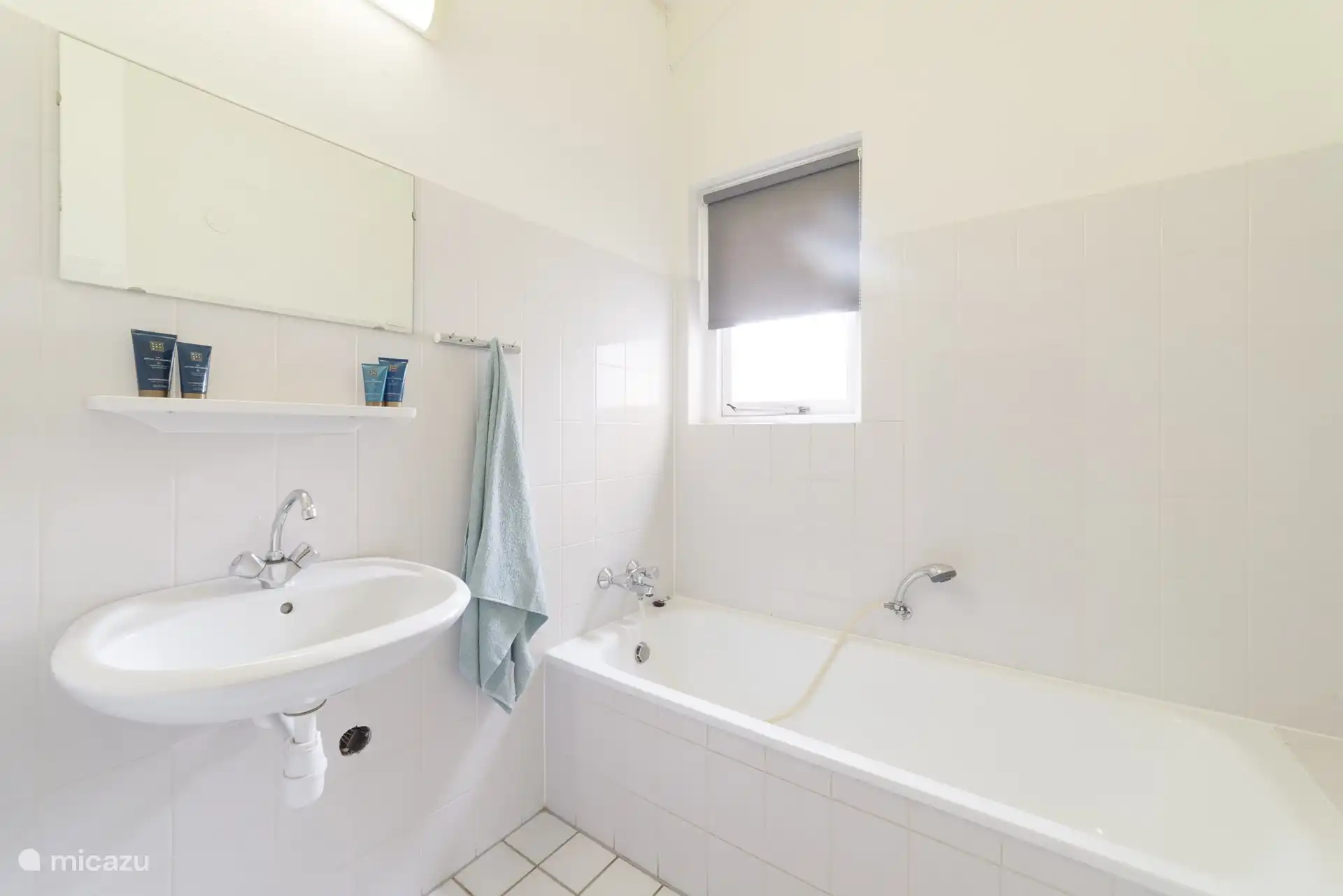 Baño de abajo nº 5