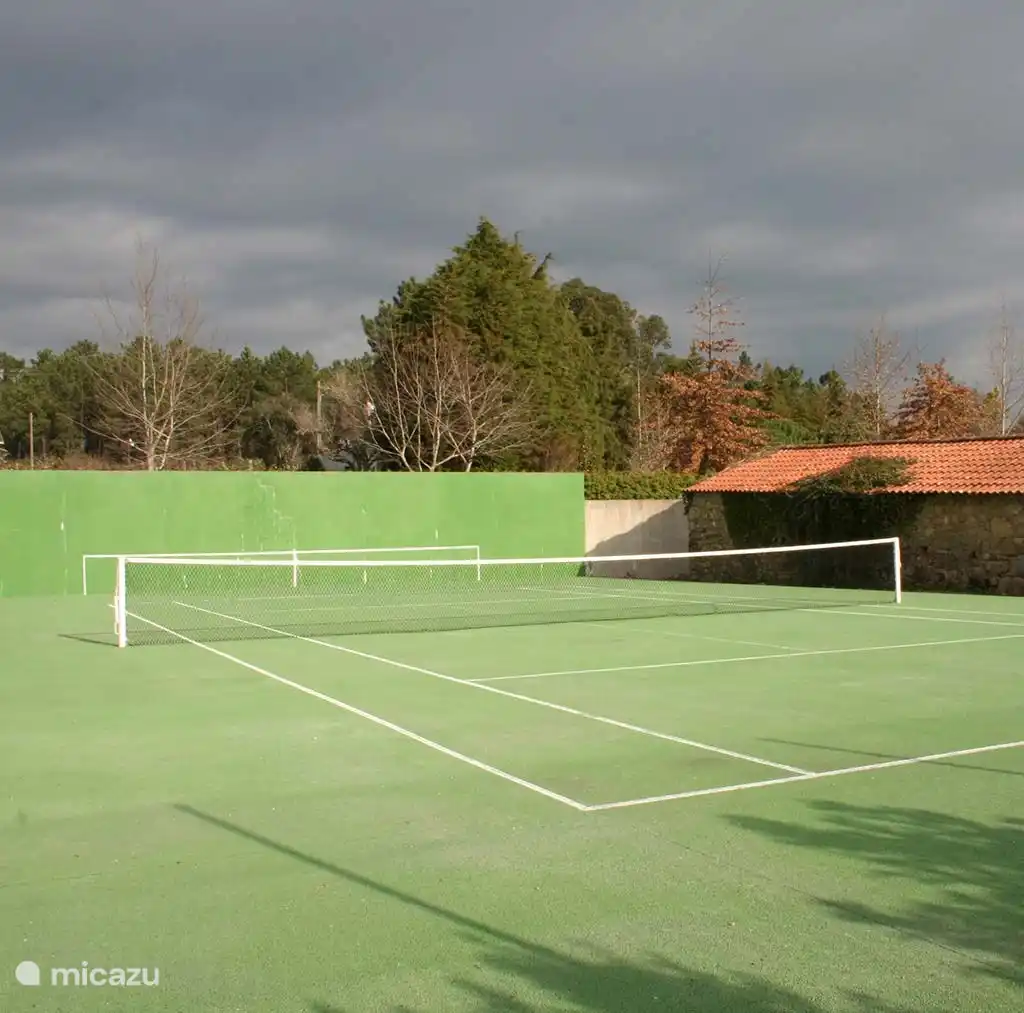 Tennis court