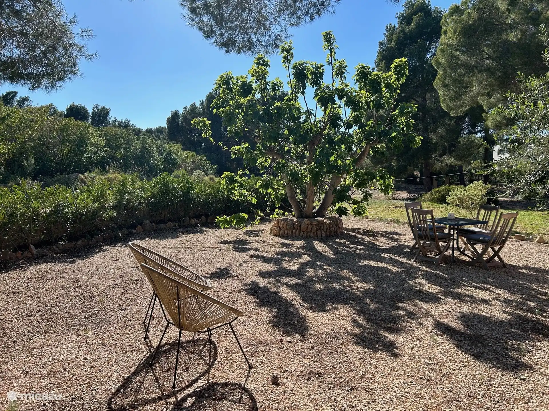 Andere zijde van de tuin, fijne plek om de zonsondergang te aanschouwen met een lekker koud drankje
