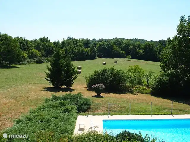 Blick auf den Pool und den Garten