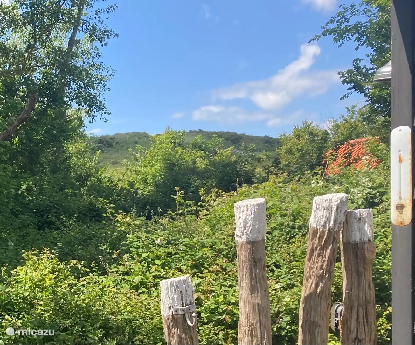 Der schöne Blick auf die Dünen.