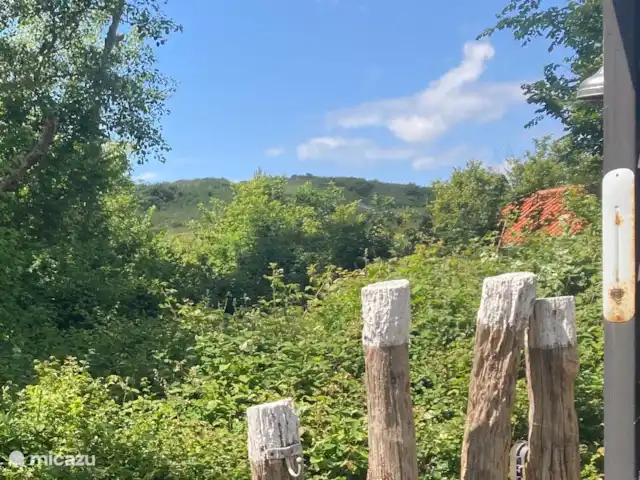 Duinbries huren in Nederland, Zeeland, Dishoek - vakantiehuis Het prachtige uitzicht op de duinen.
