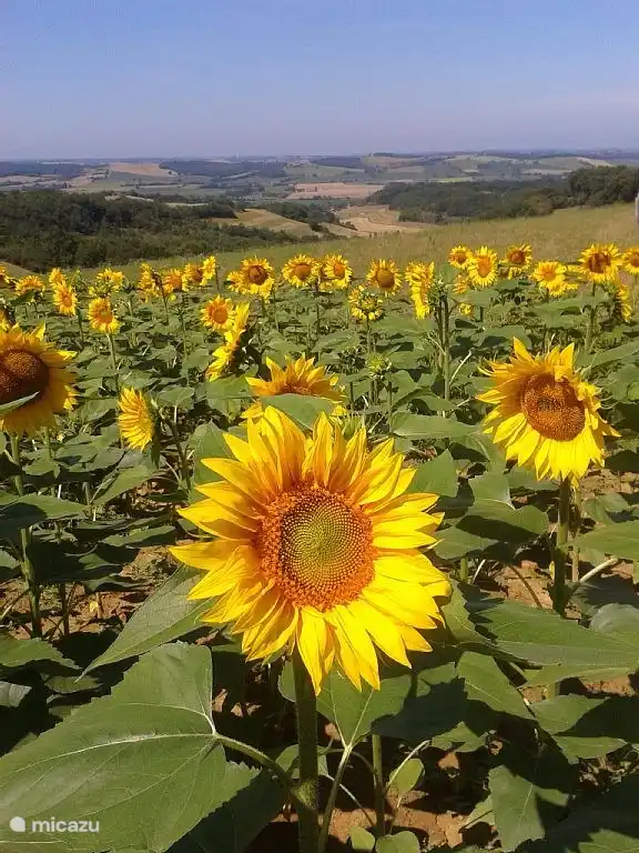 Vista de uno de los campos circundantes.