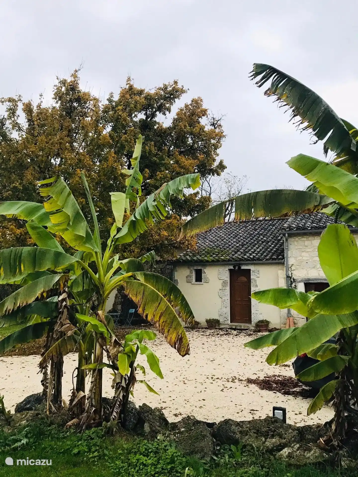 Frente con amplio estacionamiento