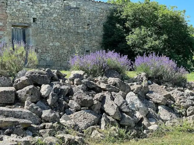 Maison Pech Bardat | France, Lot-et-Garonne, Lacepede - maison de vacances Vue sur la lavande agréablement parfumée