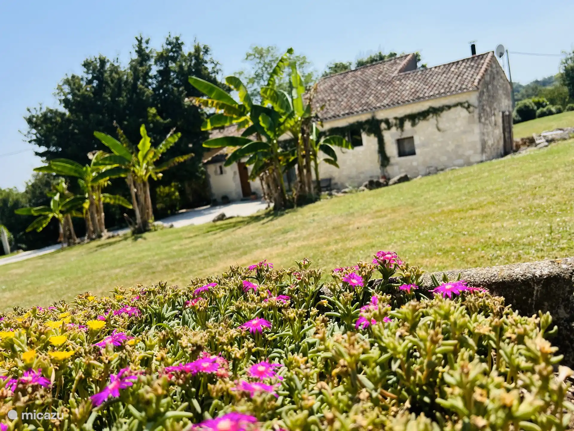 Vista al jardín desde el pozo