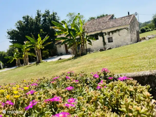 Maison Pech Bardat | France, Lot-et-Garonne, Lacepede - maison de vacances Vue sur le jardin depuis le puits