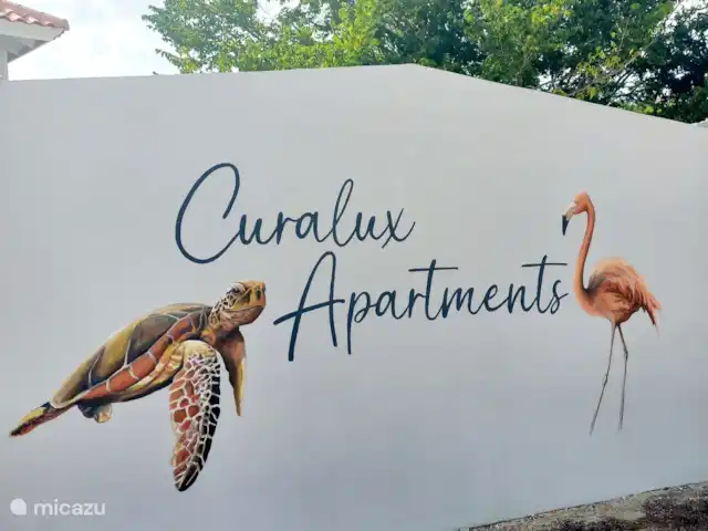Location de Vacances Curaçao, Banda Ariba (est), Jan Thiel, appartement - Appartements Curalux - Tortue Curalux Apartments dispose de deux appartements ; Flamant rose et tortue