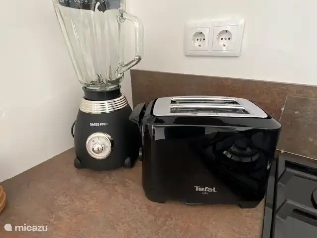 Location de Vacances Curaçao, Banda Ariba (est), Jan Thiel, appartement - Appartements Curalux - Tortue Grille-pain et mixeur. Préparez vos propres smoothies. Il y a aussi une machine à sandwich.