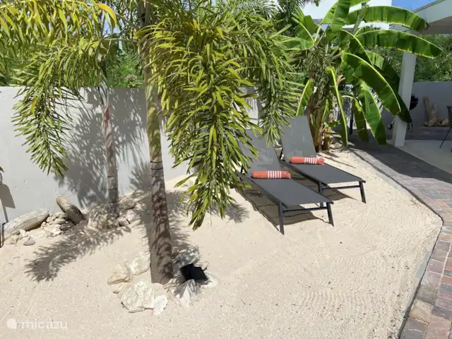 Location de Vacances Curaçao, Banda Ariba (est), Jan Thiel, appartement - Appartements Curalux - Tortue Votre propre plage privée.