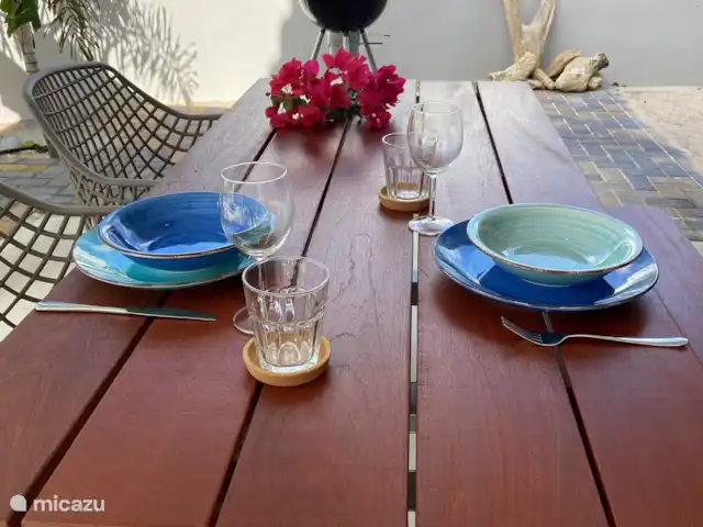 Location de Vacances Curaçao, Banda Ariba (est), Jan Thiel, appartement - Appartements Curalux - Tortue BBQ à portée de main.