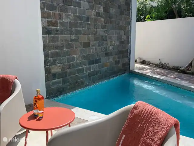 Location de Vacances Curaçao, Banda Ariba (est), Jan Thiel, appartement - Appartements Curalux - Tortue l'eau coule le long du mur.