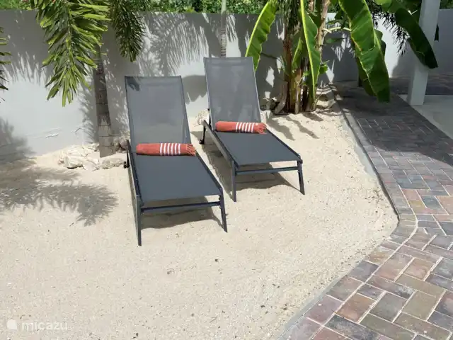 Location de Vacances Curaçao, Banda Ariba (est), Jan Thiel, appartement - Appartements Curalux - Tortue Votre propre bananier dans votre jardin, si vous avez de la chance, il y en aura un bouquet accroché là-bas.