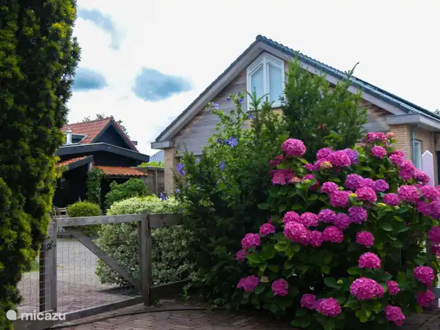 Bungalow de vacaciones Limmen en Países Bajos, Holanda del Norte, Limmen - bungaló afuera