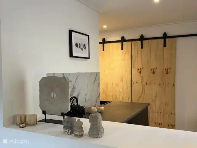Location de Vacances Pays-Bas, Overijssel, Rheezerveen, maison de vacances - Cabane bien-être Nijlikø | 44 Cuisine