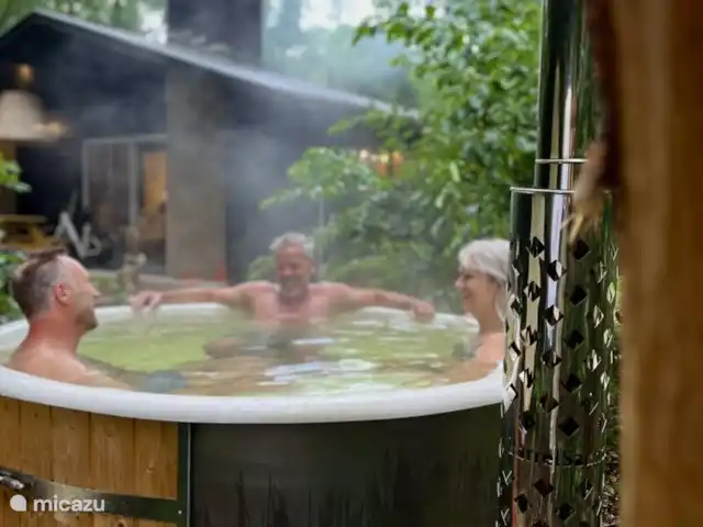 Location de Vacances Pays-Bas, Overijssel, Rheezerveen, maison de vacances - Cabane bien-être Nijlikø | 44 Remous