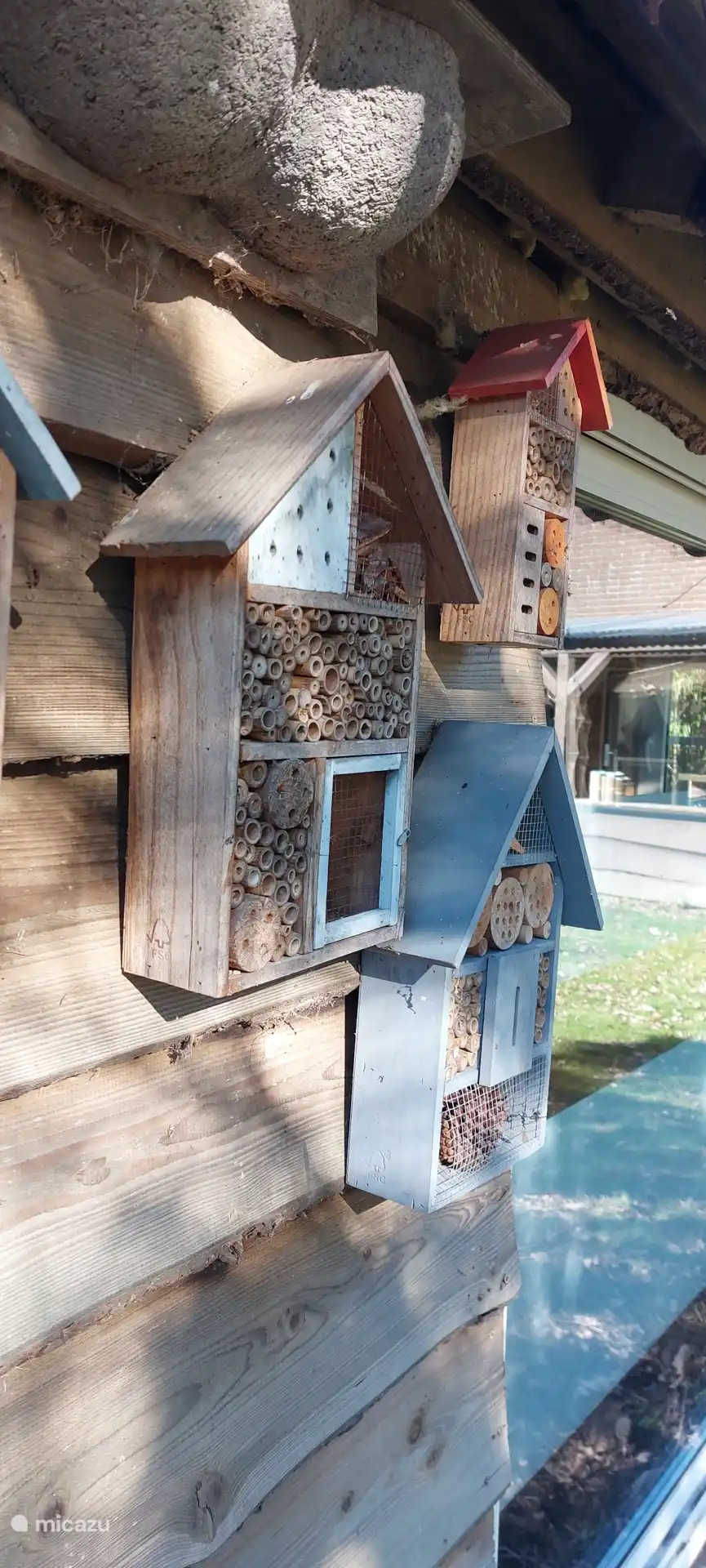 Auch die Insekten werden gepflegt