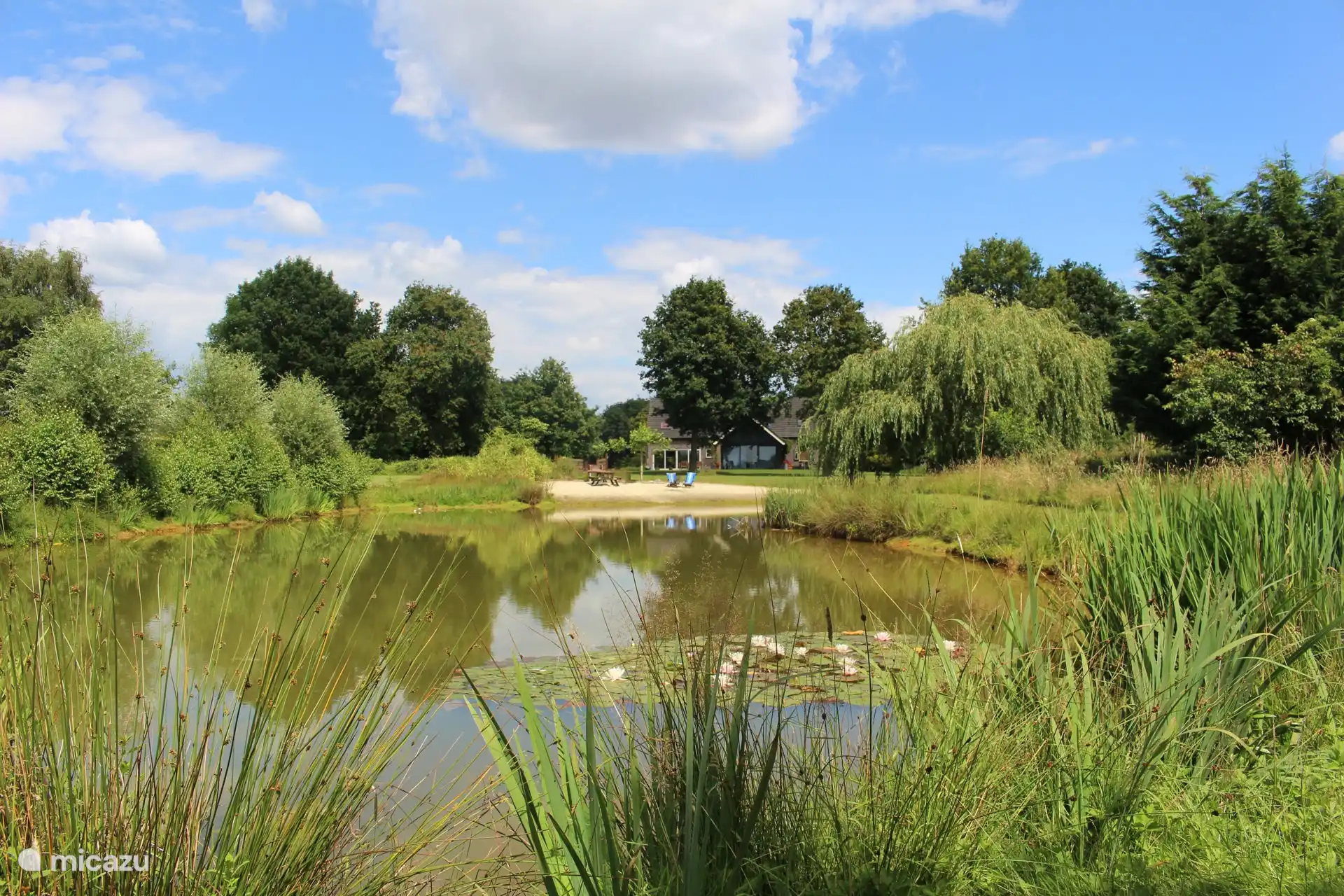 Großer (privater) natürlicher Teich, in dem man angeln, schwimmen und Schlittschuh fahren kann